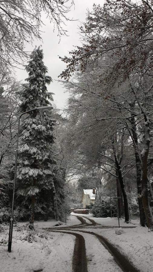 B&B In De Aap Gelogeerd Apeldoorn Zewnętrze zdjęcie