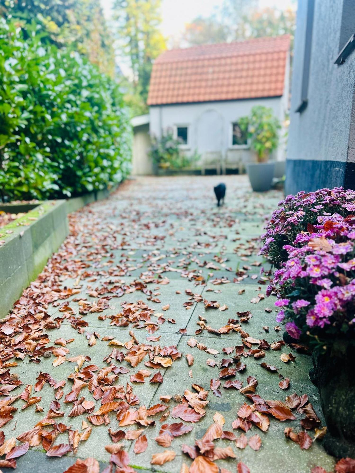 B&B In De Aap Gelogeerd Apeldoorn Zewnętrze zdjęcie